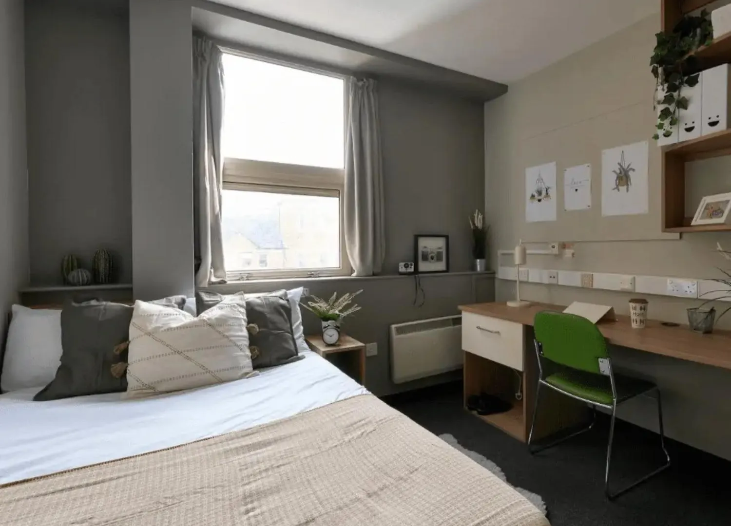 For Students Only Host Northernhay House Exeter