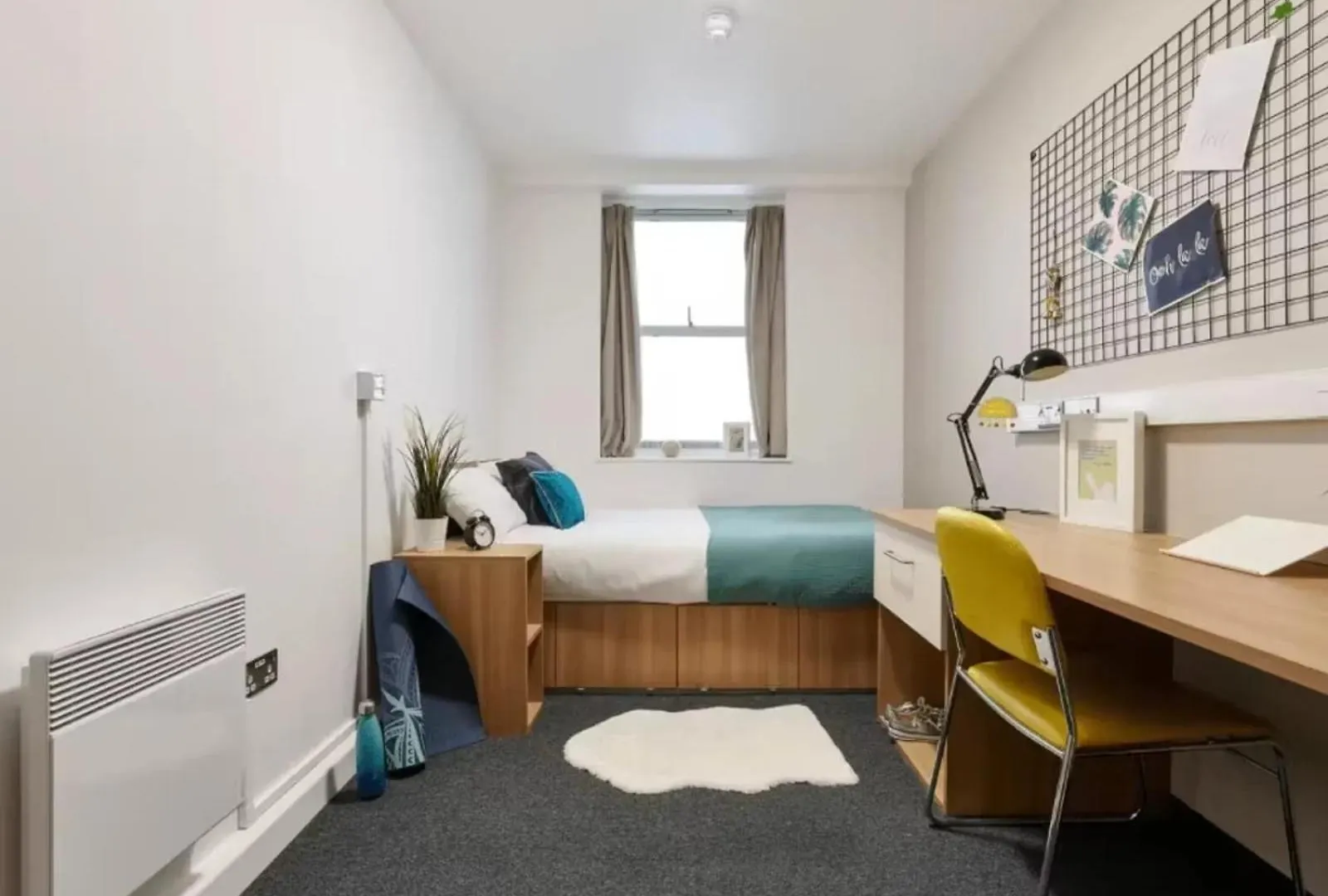 Hostel For Students Only Host Northernhay House Exeter