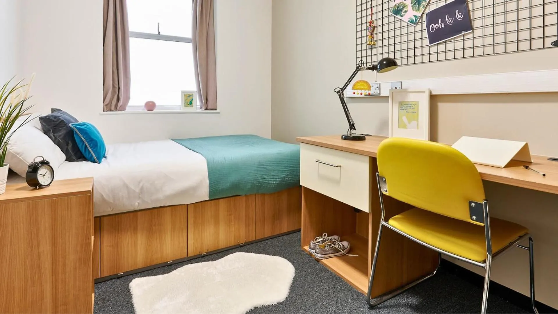 Hostel For Students Only Host Northernhay House Exeter United Kingdom