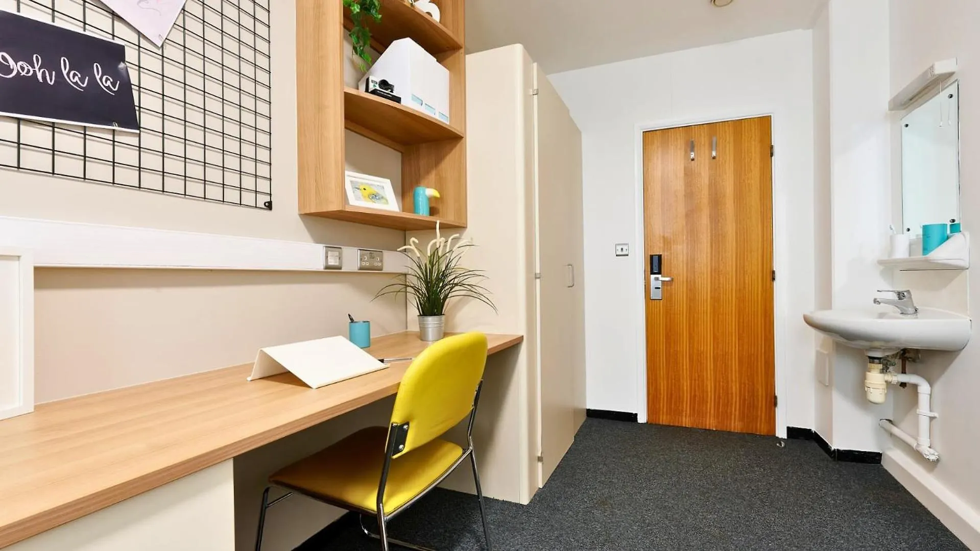 Hostel For Students Only Host Northernhay House Exeter